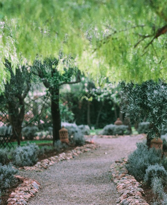 Picture of an outdoor path under a line of trees. If you need guidance on how to set healthy boundaries in your friendships, an experienced relationship therapist in Delray Beach, FL, can lead the way.