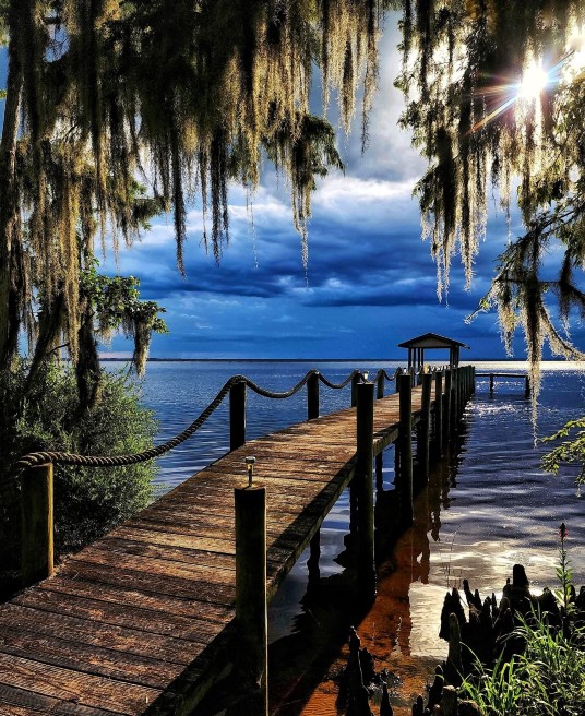 Picture of a wooden bridge leading to a body of water. If your friendship has become toxic, it might be time to pursue a path toward peace. Find out how relationship therapy can help you develop healthy boundaries.