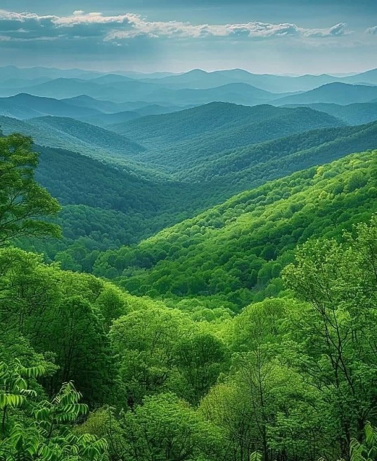 Picture of a lush, green, mountainous landscape. If your job is affecting your mental health, it might be time to step away for a breath of fresh air. Discover how to set work-life boundaries through relationship therapy in Delray Beach, FL.