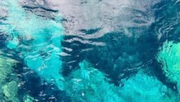 Clear blue water showing deep reflections and lighter turquoise patches. Vulnerability and relationships often bring hidden fears to the surface. A relationship therapist in Delray Beach, FL, can help you explore these feelings safely.