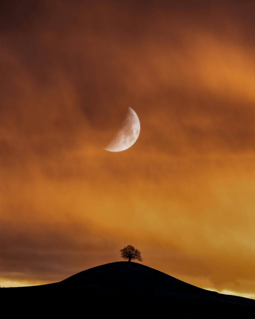 A single tree stands on a hill beneath a glowing half-moon in a fiery sky. Feeling vulnerable in relationships can feel isolating. A relationship therapist in Delray Beach, FL, can help explore fears of intimacy and guide couples toward trust.