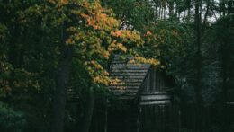 Picture of a small wooden cabin in the woods. Leaving home can change your family relationship dynamics and affect future romantic attachments. Relationship therapy in Delray Beach, FL, can help you navigate change with confidence.