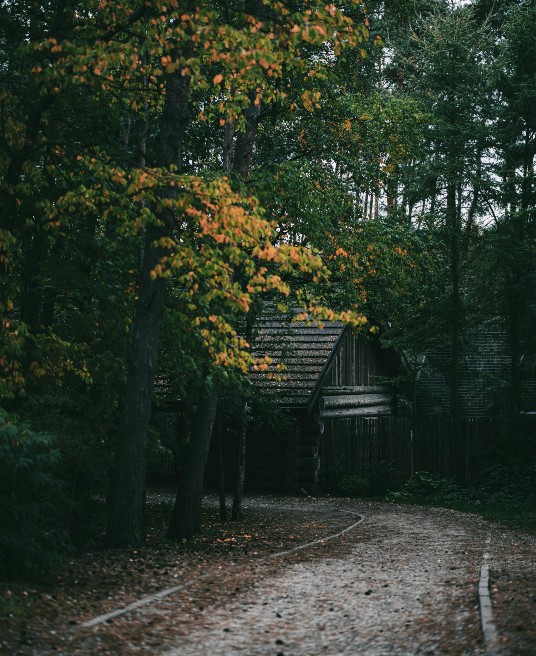 Picture of a small wooden cabin in the woods. Leaving home can change your family relationship dynamics and affect future romantic attachments. Relationship therapy in Delray Beach, FL, can help you navigate change with confidence.