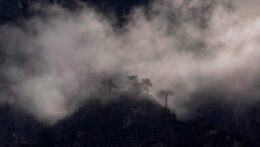 Mist swirls around a dark mountain ridge lined with silhouetted trees. When anxiety triggers feel overwhelming, finding anxiety solutions can bring relief. Anxiety therapy in Delray Beach, FL, can support you in moving through the fog with steadiness.