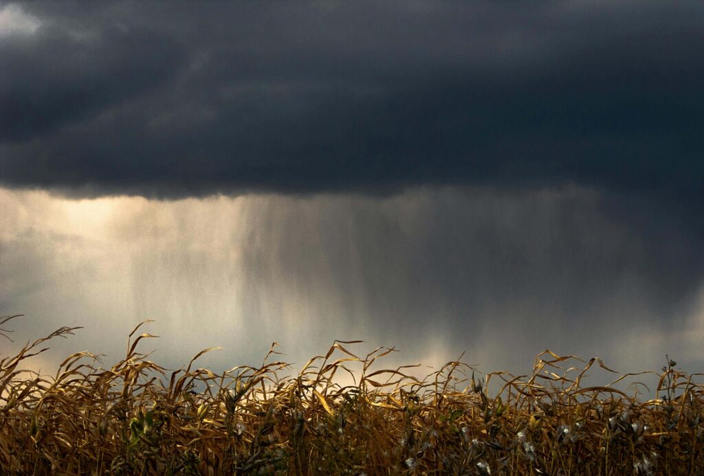 A dark storm cloud pours rain over a field of dried corn, symbolizing tension in love. Relationship expectations can feel heavy when the reality doesn't match. A relationship therapist in Delray Beach, FL can help couples find clarity and rebuild trust.