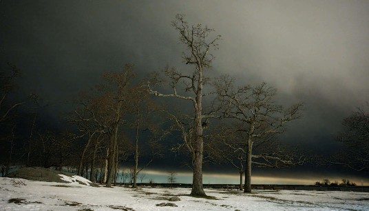 A lone winter landscape with bare trees standing in a snow-covered field under dark skies. Can unhealed trauma quietly shape emotional responses long after the event has passed? Anxiety therapy in Delray Beach, FL, helps uncover root causes and supports lasting emotional regulation.