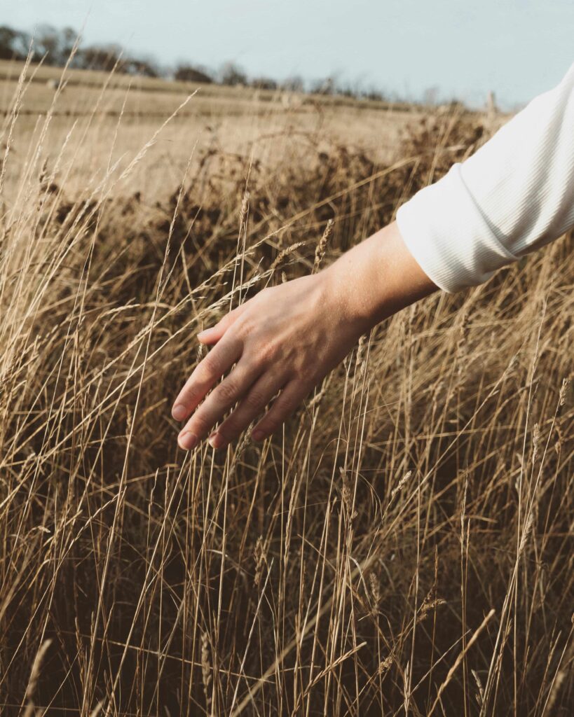 Man’s hand | anxiety and depression delray beach | symptoms of anxiety and depression | anxiety therapy davis | Delray Beach, Florida | High Point | Boca Raton | Palm Beach Gardens | The Village by the Sea A hand gently touches golden wheat in an open field under soft natural light. Can depression exist without the constant worry that defines anxiety and depression together? Anxiety therapy in Delray Beach, FL, offers clarity on distinguishing between overlapping mental health symptoms.