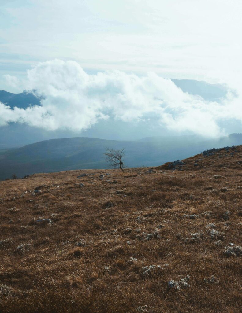 A barren landscape with hovering clouds. When anxiety and depression coexist, does life feel this desolate and overwhelming? An anxiety therapist in Delray Beach, FL, helps you process both conditions and find hope beyond the fog.