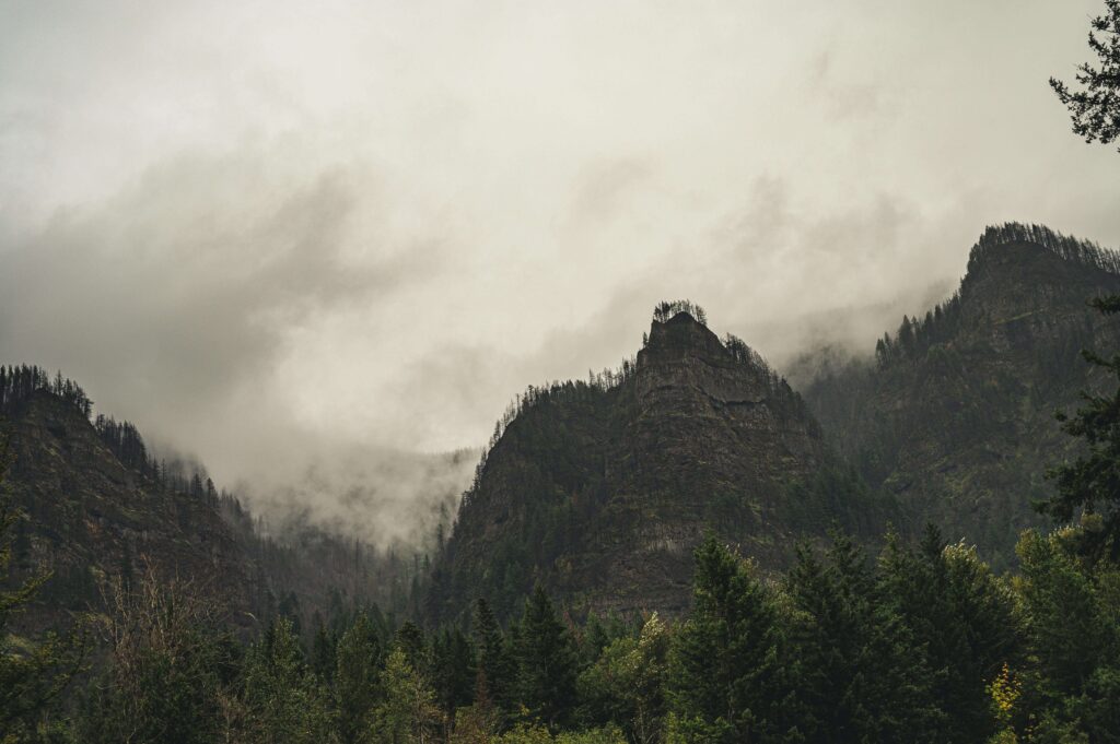 Fog drifts across steep, forested mountains. Do you experience holistic anxiety patterns that stay hidden behind productivity? An anxiety therapist in Delray Beach, FL, can help uncover calm beneath persistent internal pressure.