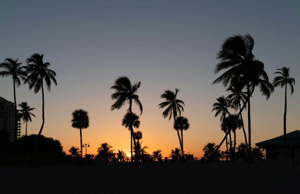 Silhouettes of tall palm trees sway against a glowing orange and blue sunset sky. Coping strategies for overthinking can help you feel grounded even when life feels overwhelming. An anxiety therapist in Delray Beach, FL, can teach you the tools you need.
