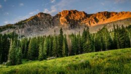 A vibrant green meadow stretches toward a mountain range. Mindfulness helps anxious minds reconnect with the present moment and find natural calm within. An anxiety therapist in Delray Beach, FL, can guide you toward lasting peace and clarity.