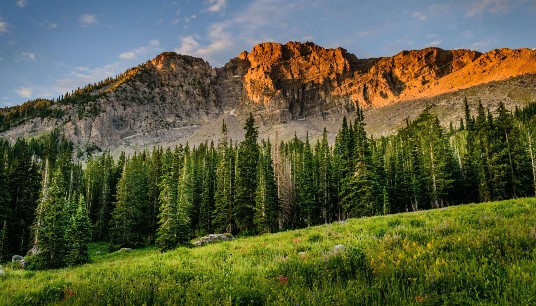 A vibrant green meadow stretches toward a mountain range. Mindfulness helps anxious minds reconnect with the present moment and find natural calm within. An anxiety therapist in Delray Beach, FL, can guide you toward lasting peace and clarity.