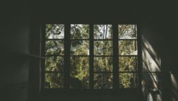 A large multi-paned window looking out onto sunlit green trees. How did your childhood environment shape the anxiety that follows you into your adult relationships and daily life? An anxiety therapist in Delray Beach, FL, can help you find clarity and move forward.