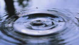 A single water droplet creates rippling circles. Do struggles with eye contact and Asperger's leave you feeling uncomfortable in social situations? An anxiety therapist in Delray Beach, FL, can help you understand your social processing and find relief.