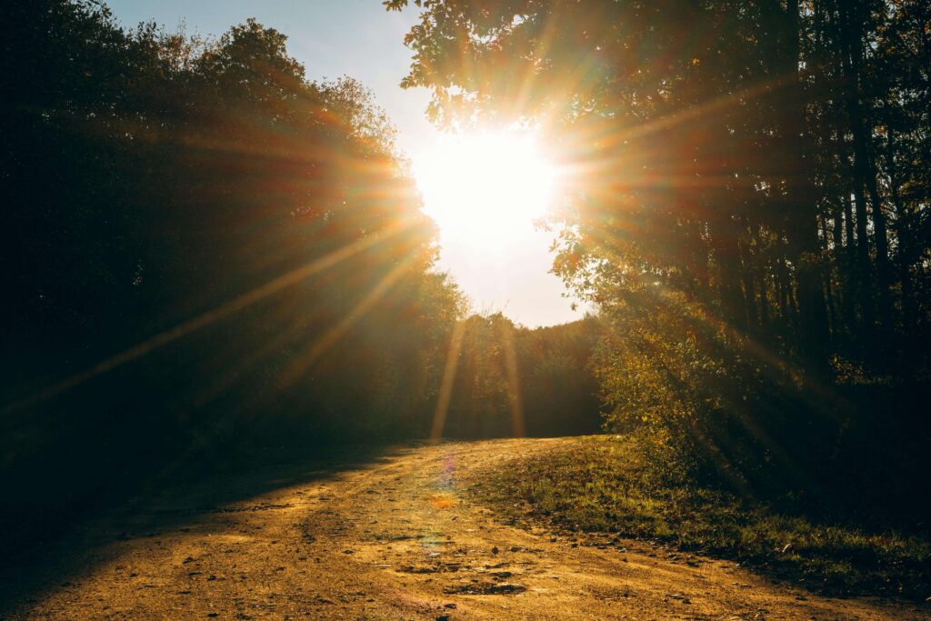 Brilliant sunlight bursts through a canopy of autumn trees. Does perfectionism keep you striving toward an impossibly bright standard that leaves you anxious and exhausted? An anxiety therapist in Delray Beach, FL can help you find balance between high standards and inner peace.
