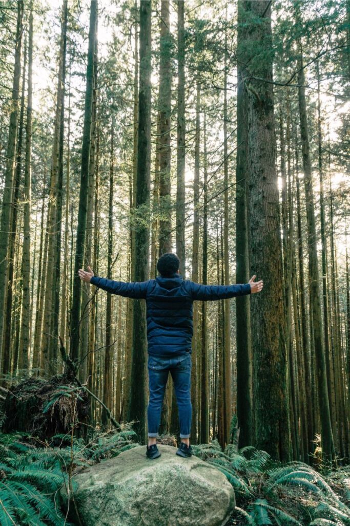 Man standing on a large rock in a sunlit forest with his arms stretched outward, surrounded by tall trees and lush ferns.